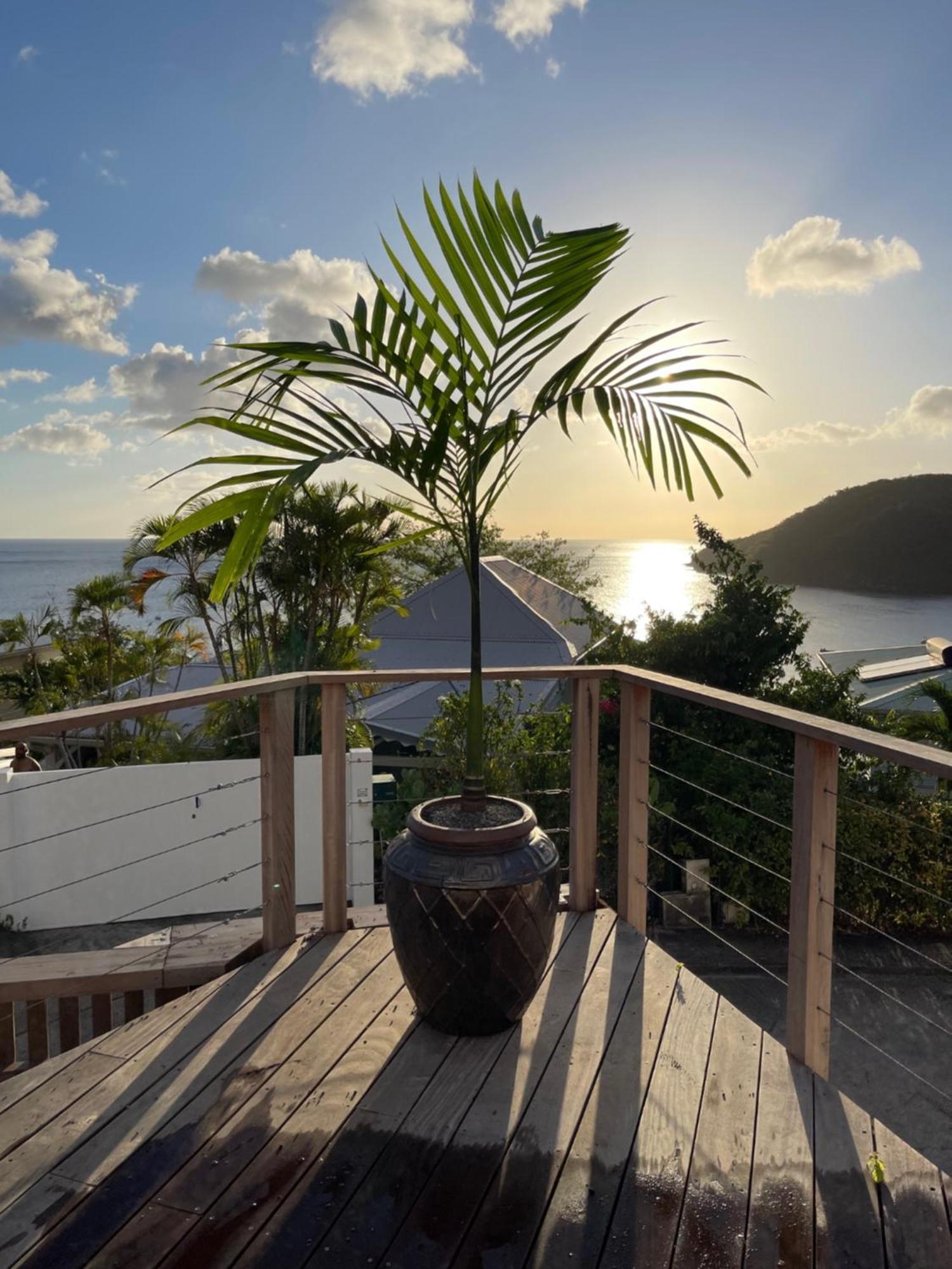 La Villa Kawana A 5 Minutes A Pied De La Plage レザンセス・ダルレット エクステリア 写真